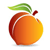 Peachtree Data Inc. logo