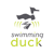 Swimming Duck