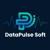 Datapulse Soft logo
