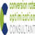 Conversion Rate Optimization Consultant