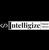 Intelligize Digital logo