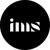 Immersive Strategies logo