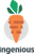 Ingenious