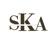 Scott Kane Associates logo