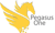 Pegasus One
