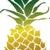 Pineapple Tweed Public Relations and Marketing logo