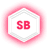 Smashing Boxes logo