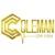 Coleman Public Relations & Consulting Firm LLC logo