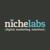 NicheLabs logo