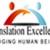 Translation Excellence logo