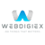 Webdigiex Solutions Private Limited logo