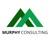 Murphy Consulting LLC logo