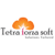 Tetraforzasoft Inc logo