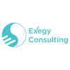 Exegy Consulting logo