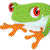 Treefrog Cinegraphix