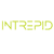 Intrepid Agency logo