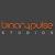 Binary Pulse Studios logo