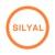 Silyal logo
