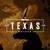 Texas Web Design logo