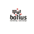 Balius Marketing & Web Design logo