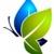 Triad Web Design Service logo