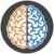 Braintrust Interactive logo