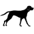 Hunter Digital logo
