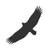 Akoyah LLC logo
