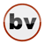 Brentwood Visual logo