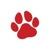 Red Dog Media logo
