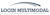 Login Multimodal logo