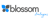 Blossom Strategies logo