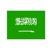 SAUDI ARABIA VISA logo