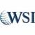 WSI - MaxNet Solutions Inc. logo