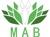 MAB Ventures logo