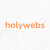 Holy Webs Charleston logo