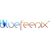 Blue Feenix logo
