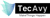TecAvy logo