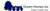 Dream Homes Inc. logo