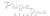 PageOnePlease.com logo