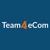 Team4eCom logo