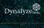 Dynalyze Media logo