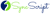 SyncScripts logo