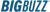 Big Buzz logo