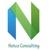 Netco Consulting logo