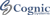 Cognic Systems logo