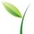 Green Vine Marketing logo