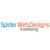 Spider Web Designs