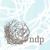 NDP logo