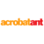 AcrobatAnt